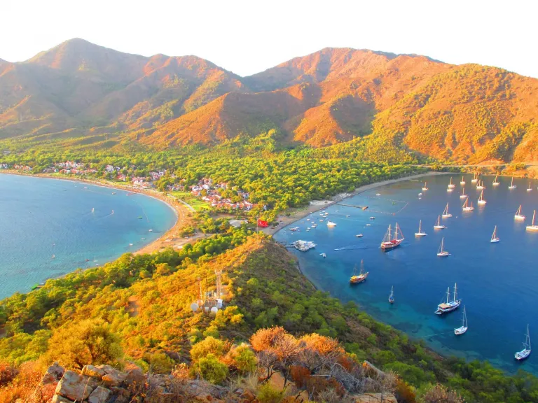 aktur bay